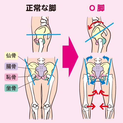 o-leg-p28.jpg