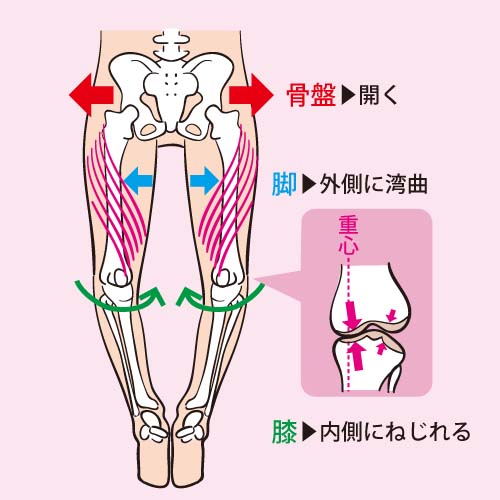 o-leg-p23.jpg